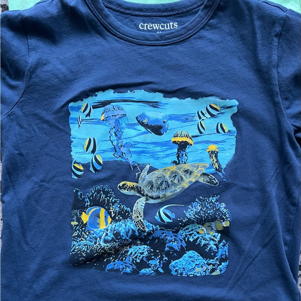 J Crew Crew Cuts